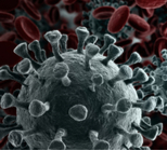 בדיקת elisa - תמונת אווירה